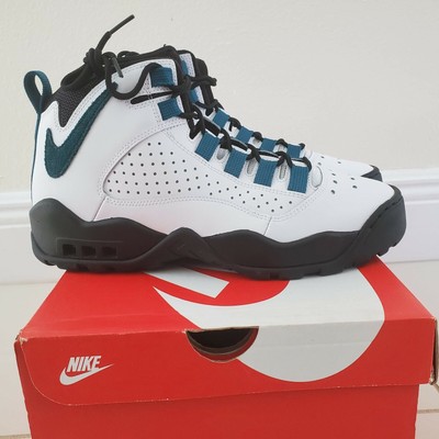 nike air darwin dennis rodman