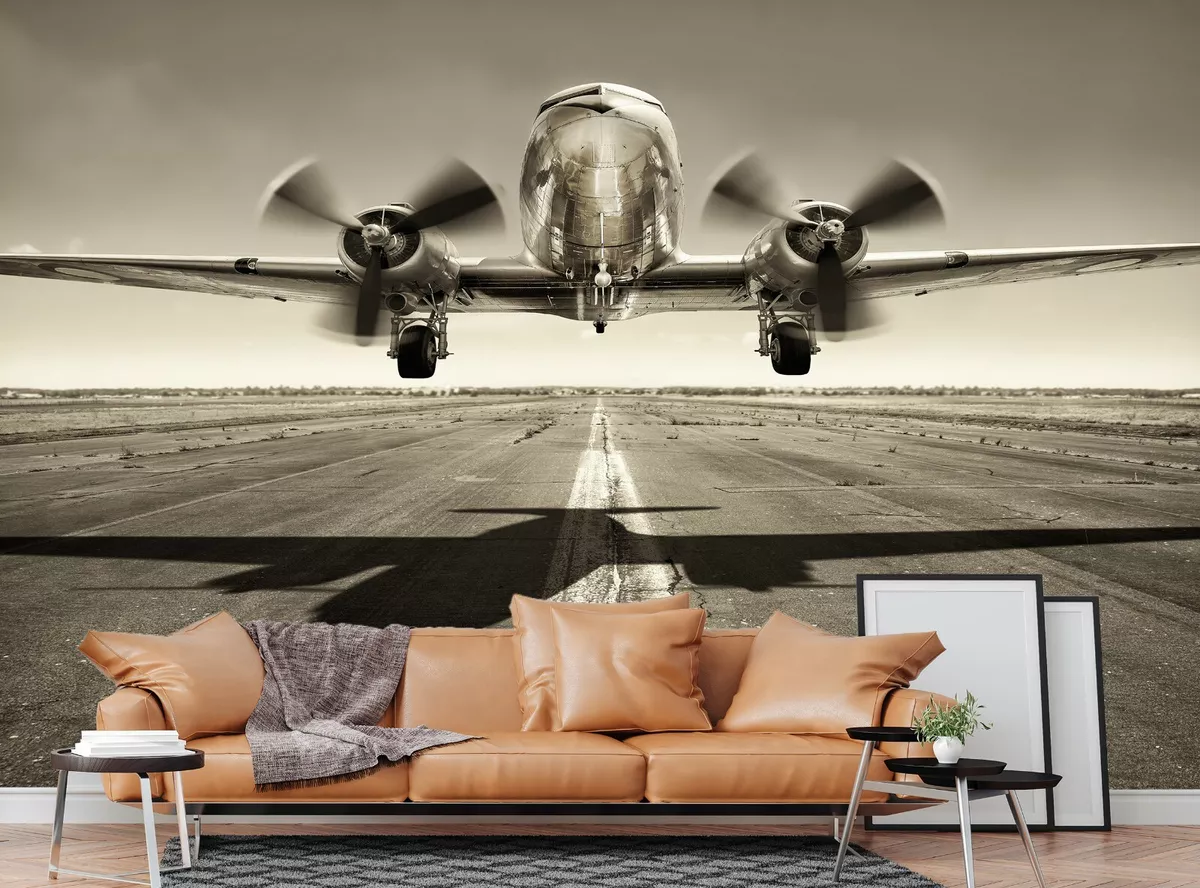 Airplane 2024 wall art