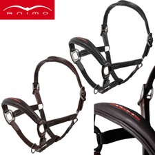 Animo Halfter Leder Utility