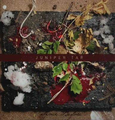 2xLP Juniper Tar Since Before INCL. BOOKLET + STICKER NEAR MINT self-release