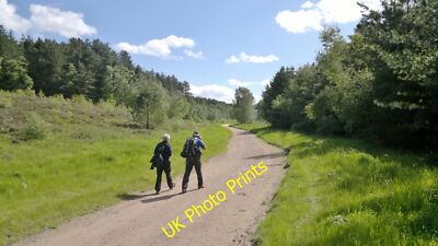 Foto 6x4 Ausreiten in Sherwood Forest Kings Clipstone Ein windiger Tag, ho c2015