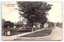 Shelby Michigan North Michigan Avenue House Street View c1908 Postcard