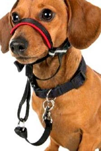 Collar Halti Entrenamiento Perro Obediencia, Sin Tirar, Arnés para Cabeza, S/Pequeño Foto 4 de 4