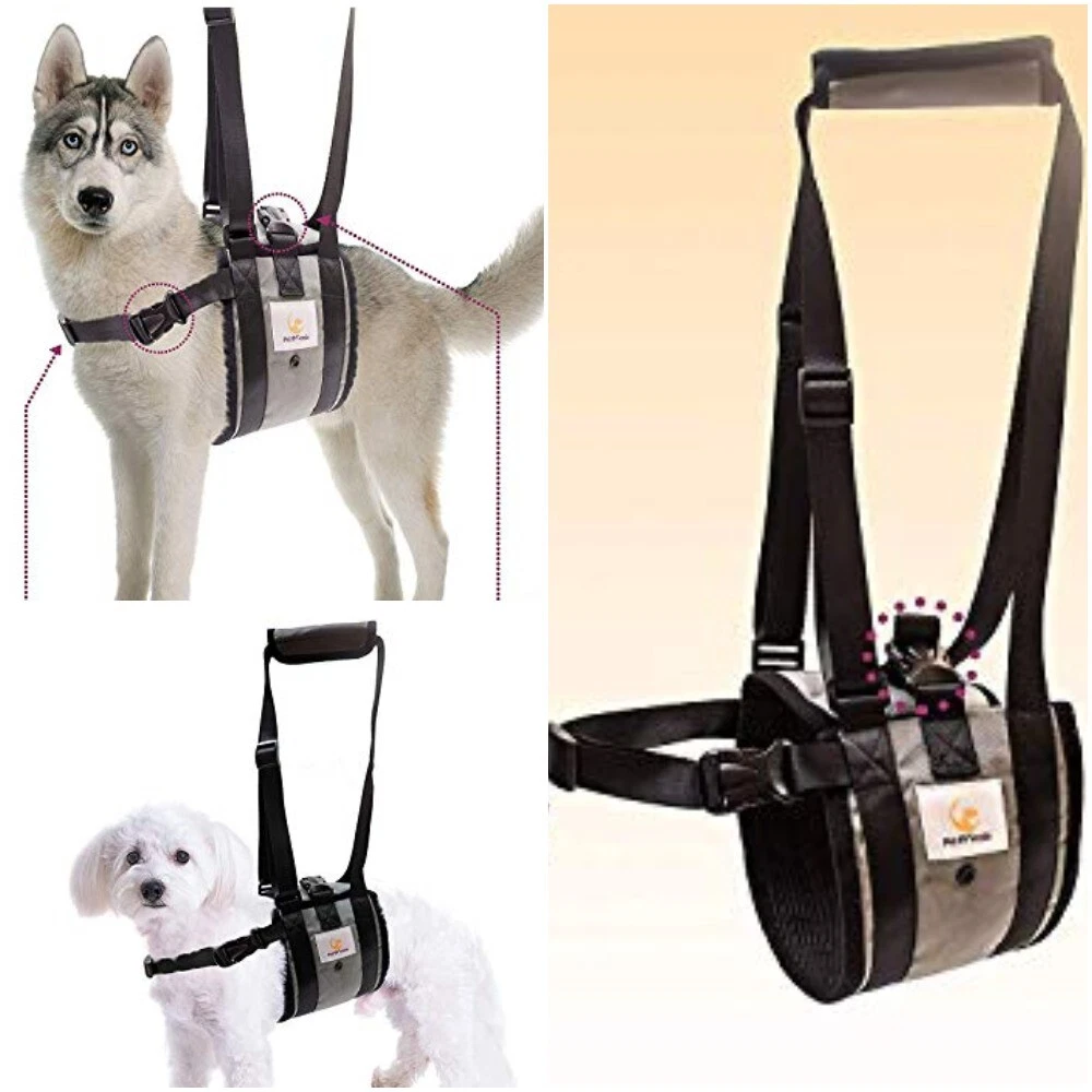 Dog clearance mobility harness