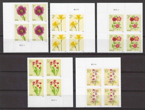 USA Sc. 5897-5901 1c 2c 3c 5c 10c Blumen 2024 postfrisch 5 Tellerblöcke