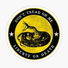 Dont Tread On Me Worn Snake Vinyl Sticker Laptop Window Gadsden Flag 2nd Guns