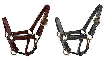 Equitem Foal Size Leather Halter with Brass Hardware
