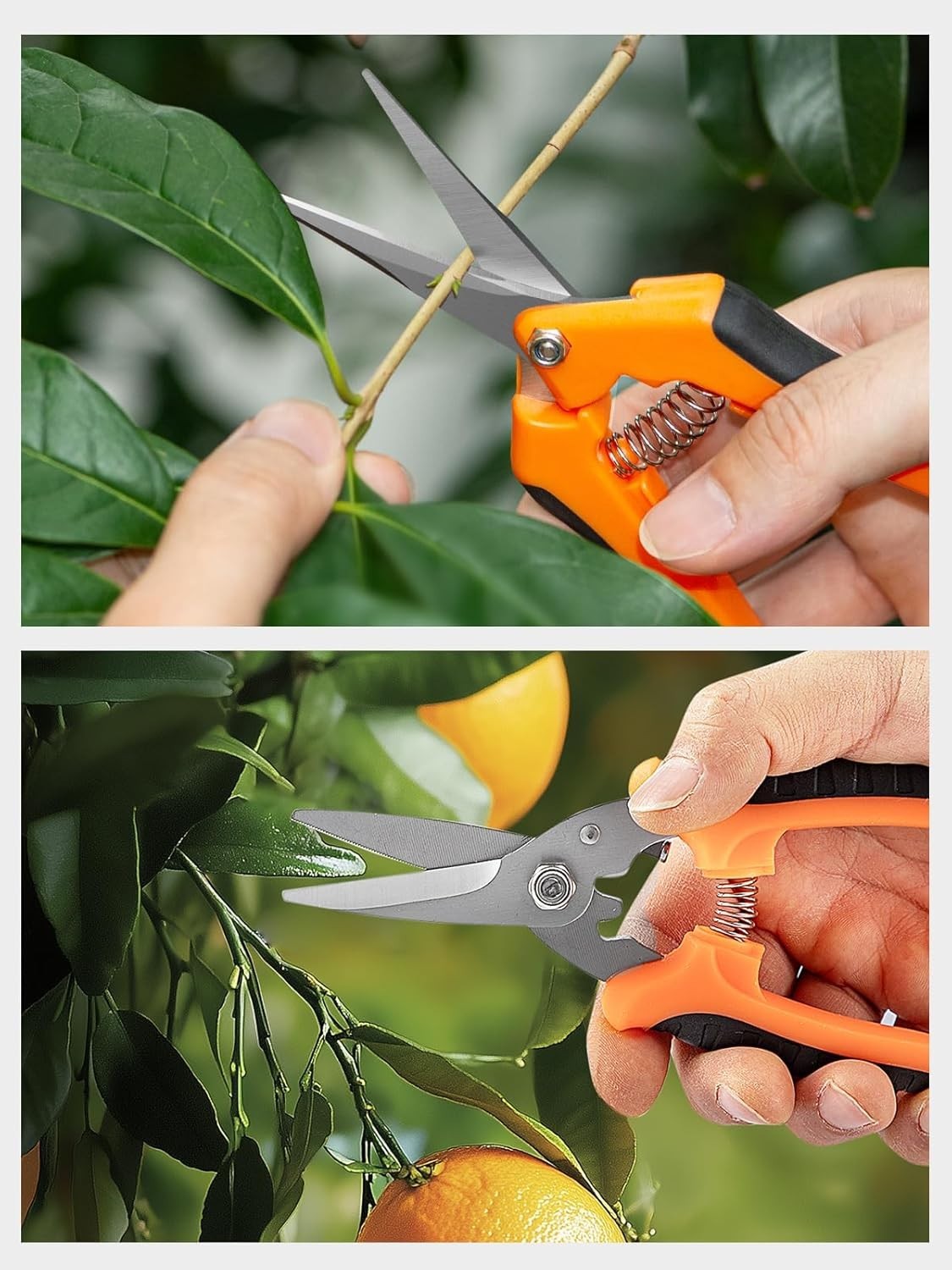 Multi-Purpose Garden Scissors - Durable Pruning Tools for Efficient Trimming