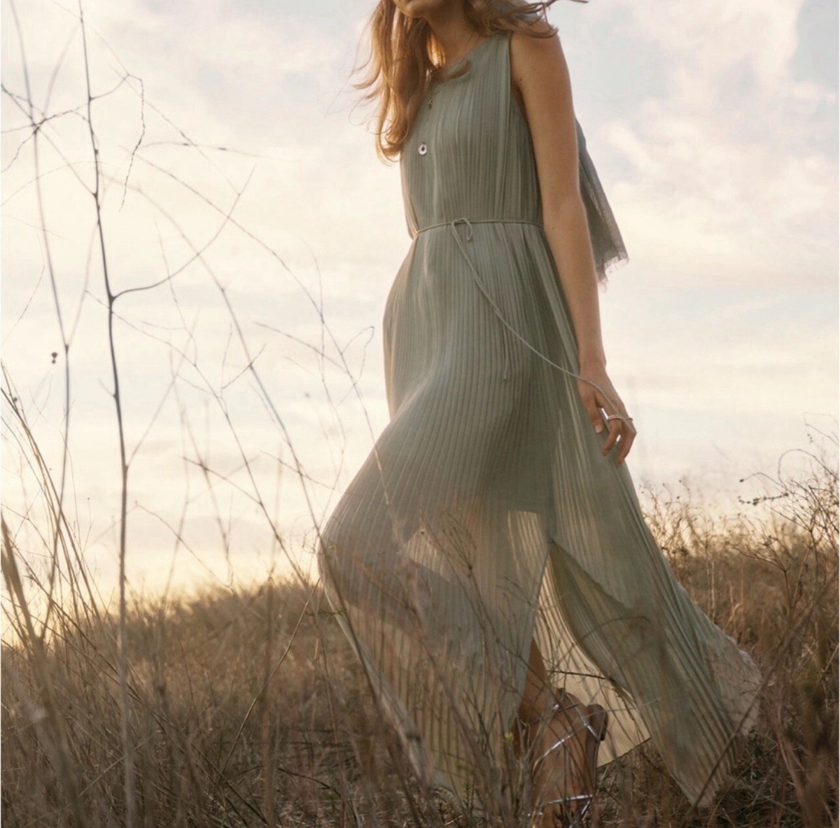 chinese dress ladies Cora Embroidered Chiffon Dress main image 0