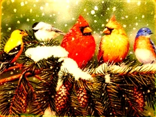 Farberware~William Vanderdasson Cardinal Bird Cutting Board Snow Christmas