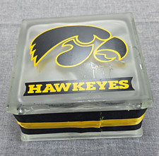 Iowa Hawkeyes Logo 8x8 Clear Frosted Glass Block, Square Frameless