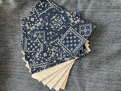 Inside/Outside Decorative Bandana Iron On Patches-Set 3  x 5 , Blue 