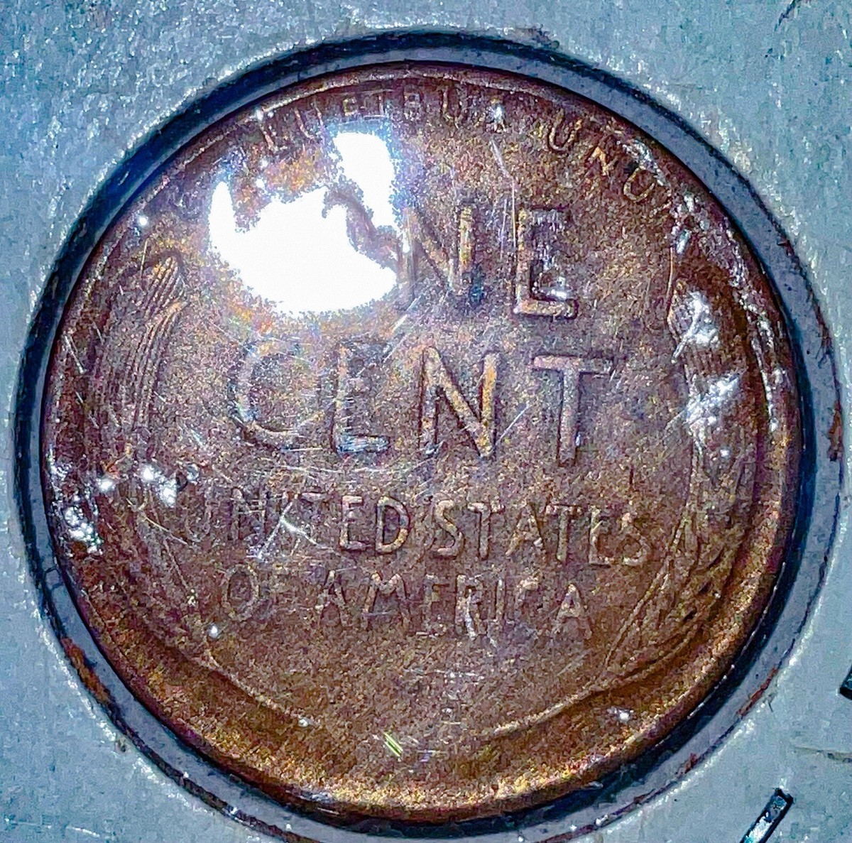 リンカーン 1923年 ONE CENT 麦 アンティーク M24100713 1941-1961 Lincoln Head Cent, Wheat Penny Collection Book. 57