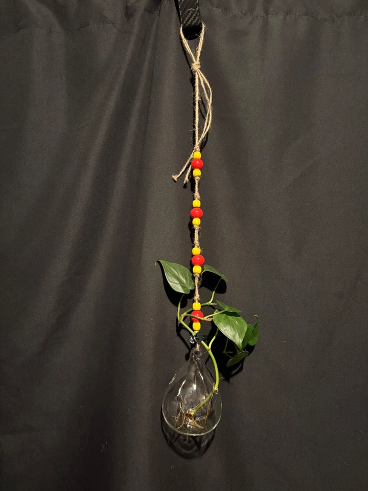 Jarrón colgante de propagación de vidrio con cuentas lágrima Foto 2 de 4