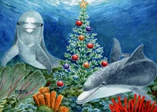 Christmas Dolphins - Box of 18 LPG Warm Weather Christmas Cards by LPG Greetings