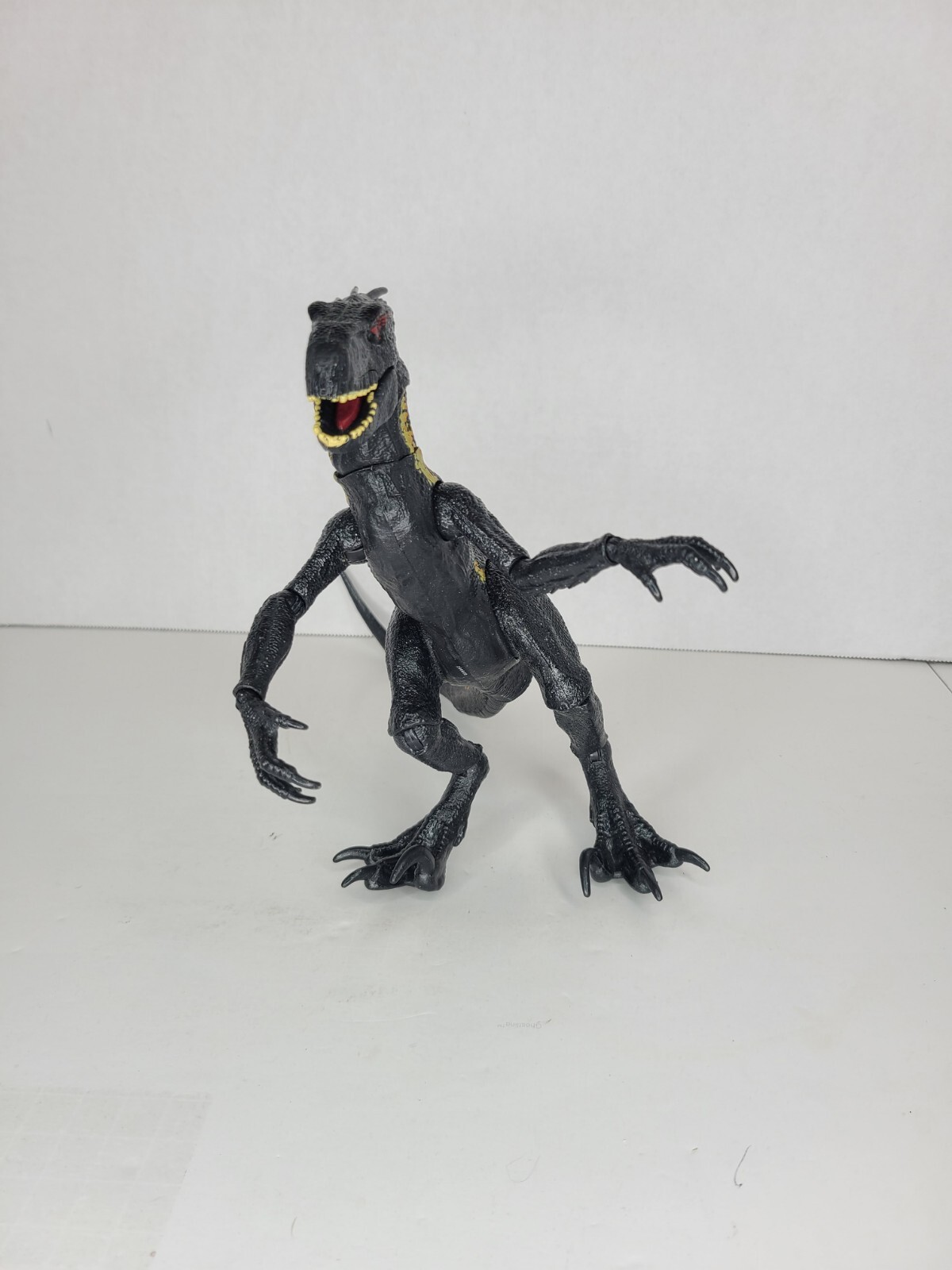 Picture 4 of 12