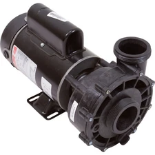 Pump, Aqua Flo XP2, 1.0hp Century, 115v, 2-Speed, 48 Frame, 2"