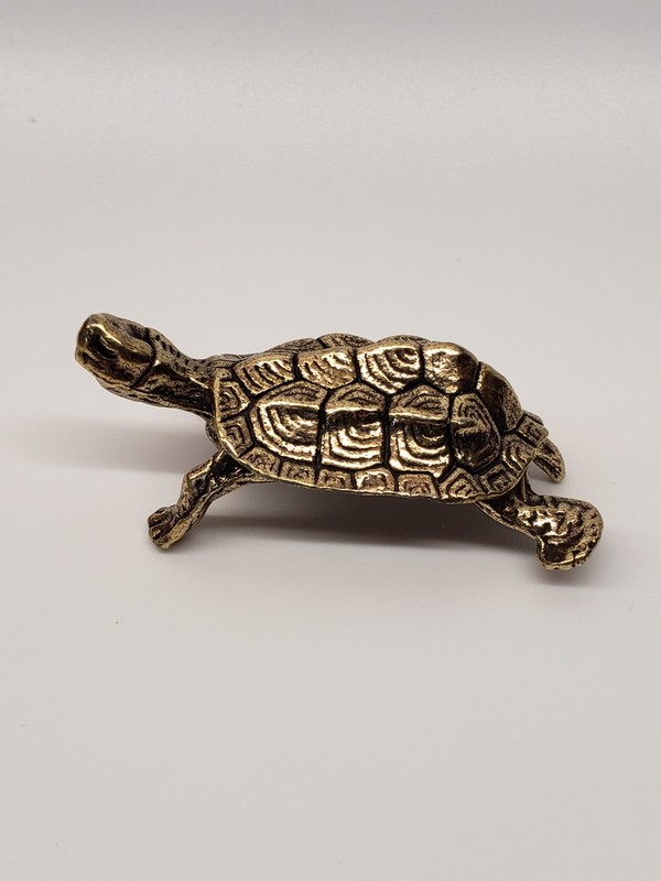 Solid Brass Turtle for your collection z3182