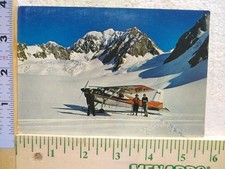 Postcard Fox Snowfield South Westland New Zealand
