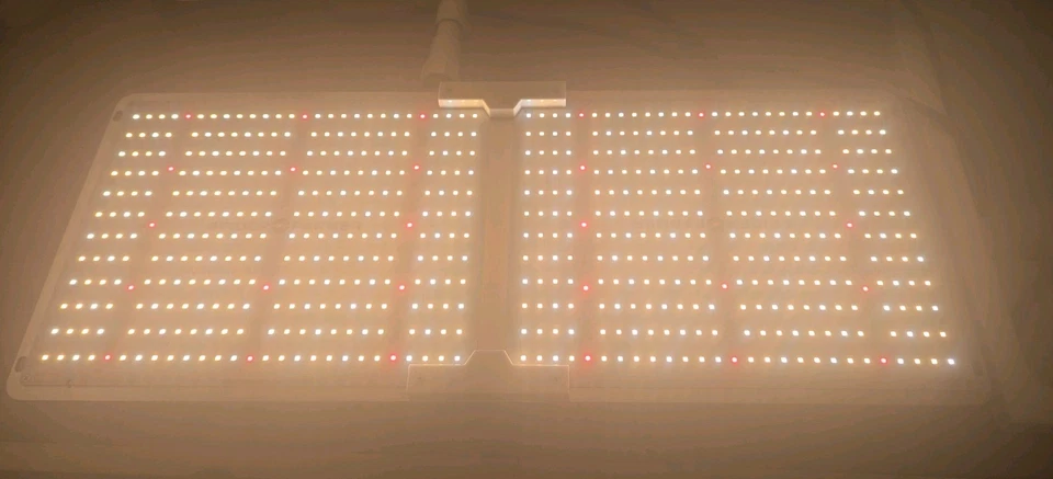 (CANTIDAD 3) Spider Farmer SF-2000 LED Luz de Crecimiento Espectro Completo PROBADO Foto 2 de 4