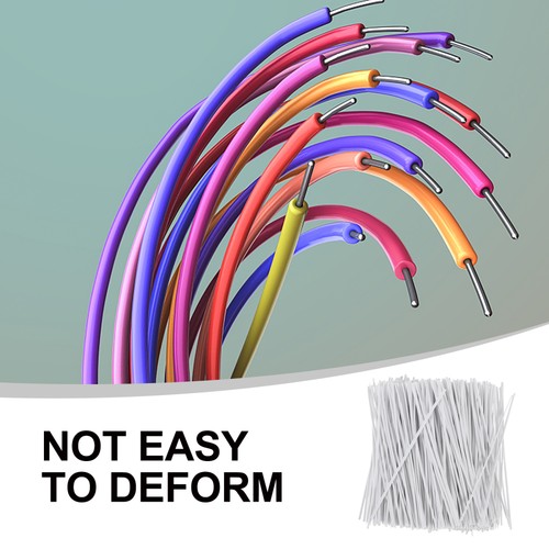 1000 Pcs Kabelbinder Datenleitung Wiederverwendbar Plastische Bindungen - 第 7/12 張圖片