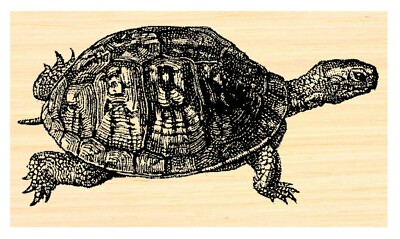 Tortoise, turtle rubber stamp WM P42