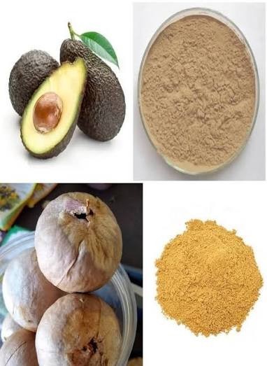 Aguacate orgánico semilla en polvo molido a mano en Sri Lanka ENVÍO GRATUITO