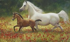 Ceramic Backsplash Tile Mural Horse Animal Kitchen/Bathroom - Pride and Joy