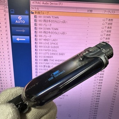 RARE Sony Nw-e405 Network Walkman 512mb Digital Music Player Mp3