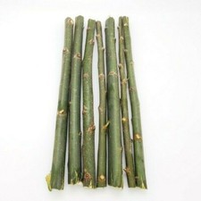 50 Austree Hybrid Willow Trees Fast Growing Shade Windbreak Cuttings Ready2root