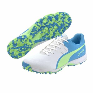 puma evo speed cricket shoes