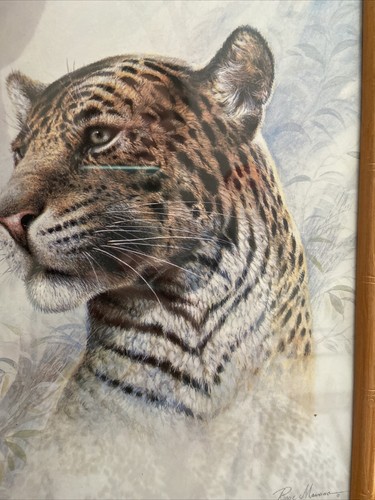 2 Vintage RUANE MANNING Lion Tiger Prints Bamboo Framed Mother Tiger Cub 10 x 8” - Picture 5 of 12