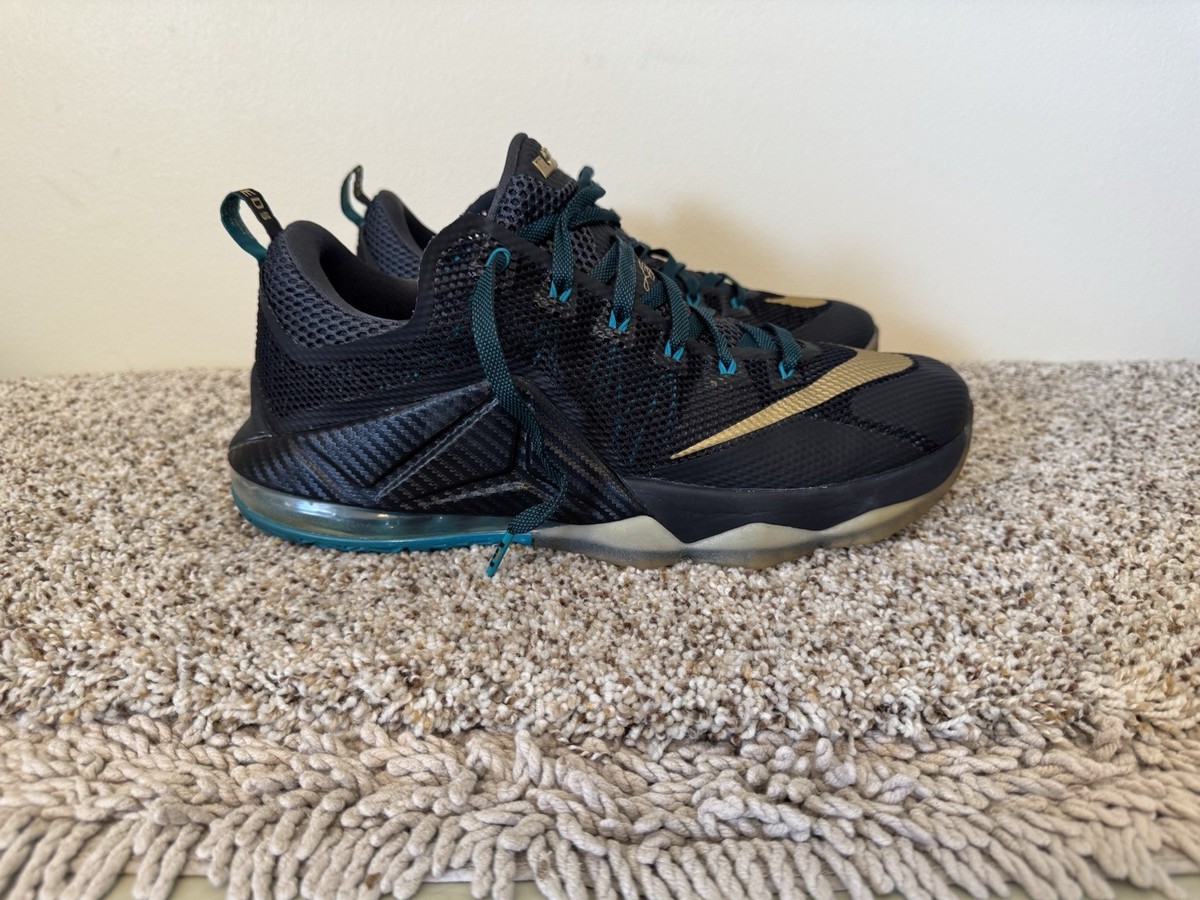 lebron 12 low carbon fiber