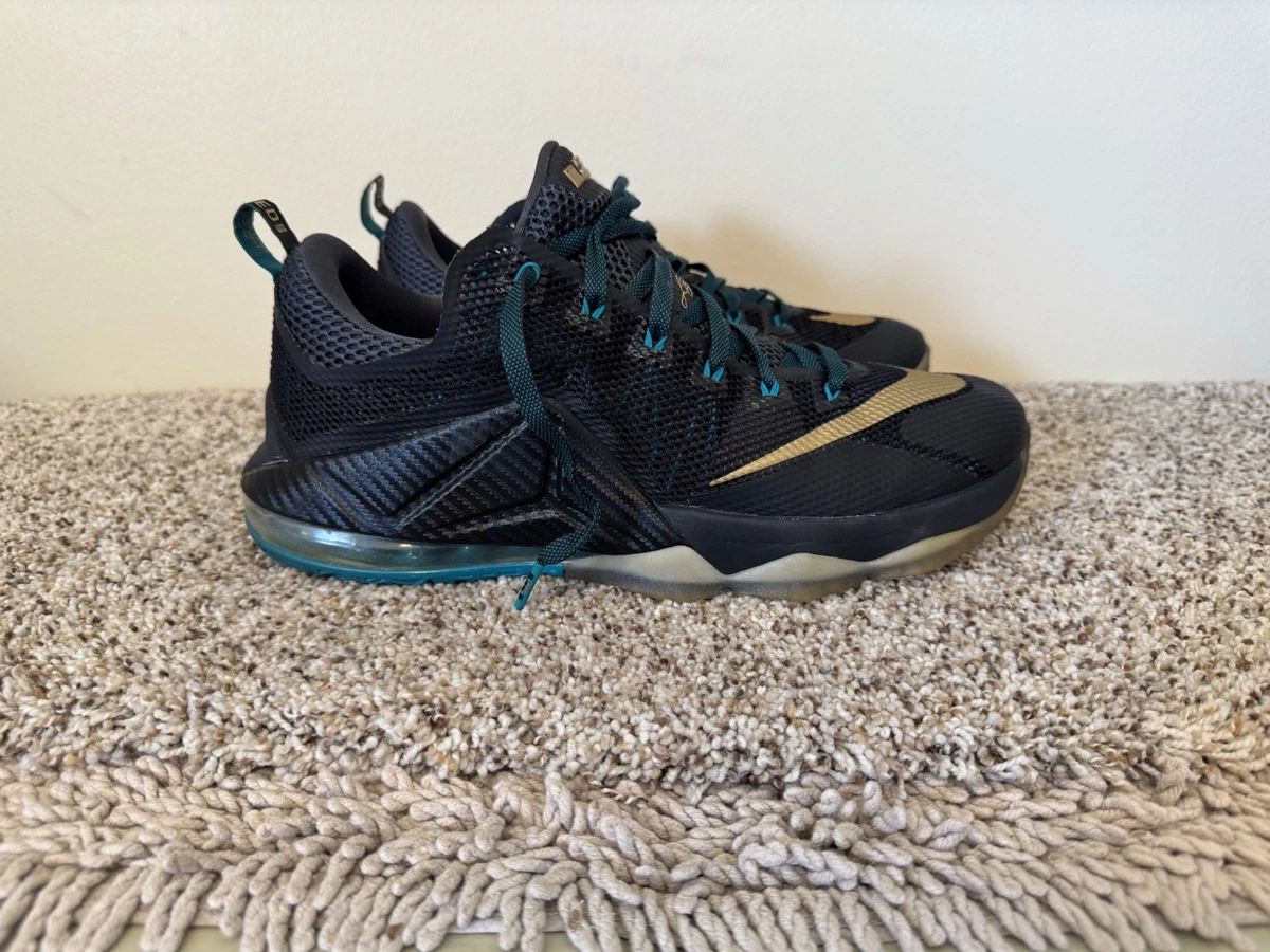 25+ Nike LeBron XII Low Sneakers for Men for sale | Updated Sep 2026