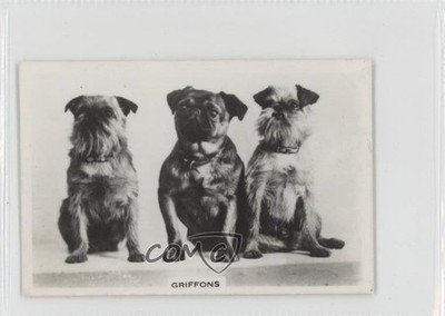 1939 Senior Service Dogs Tobacco Griffons #7 0f3