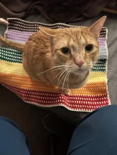 Rainbow Colored Pet Blanket 56cm X 46cm Handmade