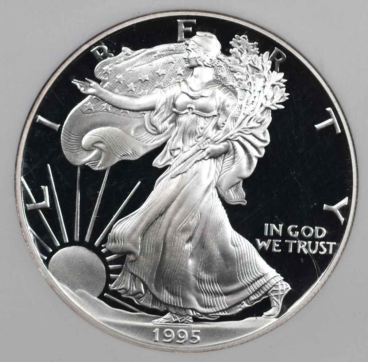 1995年 アメリカンイーグル シルバー American Eagle 1995 U.S. Mint