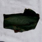 GARY GREEN JASPER SLAB ~ 74 grams / rough agate rock cab  bog elipso — photo 3