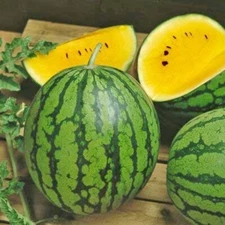 Sweet Yellow Watermelon Seeds for 2025 season
