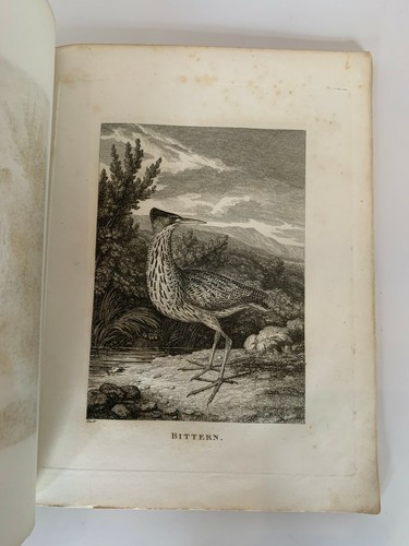 British Preserve 36 Etchings S.HOWITT ca.1824 Game Sporting Nature Prints - Picture 10 of 12