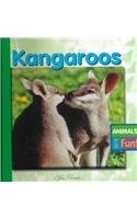 Kangaroos (Animals Are Fun) by Amy Bauman - Hardcover - VERY GOOD