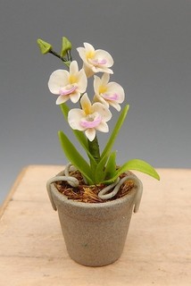 Vintage OOAK Hand Sculpted Dendrobium Orchid Flowers Dollhouse Miniature 1:12