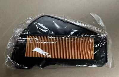 LEXMOTO ECHO + 50 LUFTFILTER BRANDNEU ORIGINAL OEM FILTER
