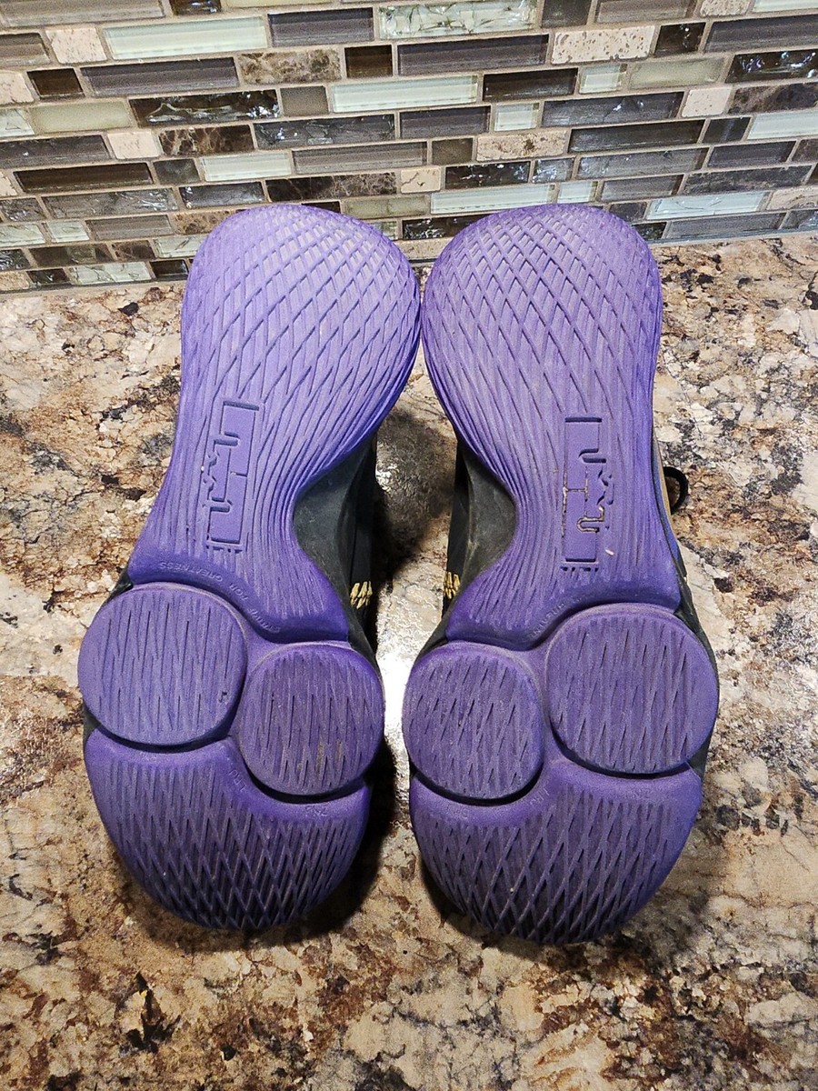 purple lebron witness 5