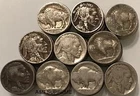 Huge Collection Of 100 Most With Date Culls Buffalo Nickels Estate Lot
