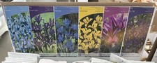 Iris Mixture Of Variety’s 60 Bulbs Spring Flowering Plants