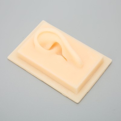 Silikon Ear Glossy Texture Lebendige Form Komfortables Weiches Menschliches GD2