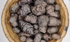 Prophecy Stone ~  Egypt