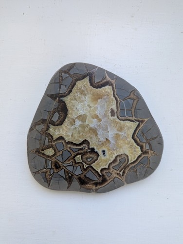 Authentic, Natural SEPTARIAN NODULE SLICE. Geometric Patterns - Picture 2 of 9