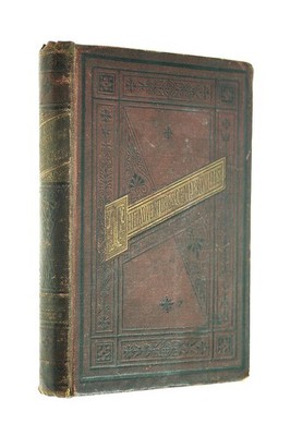 Adventures of Mark Willis by Mrs George Cupples
